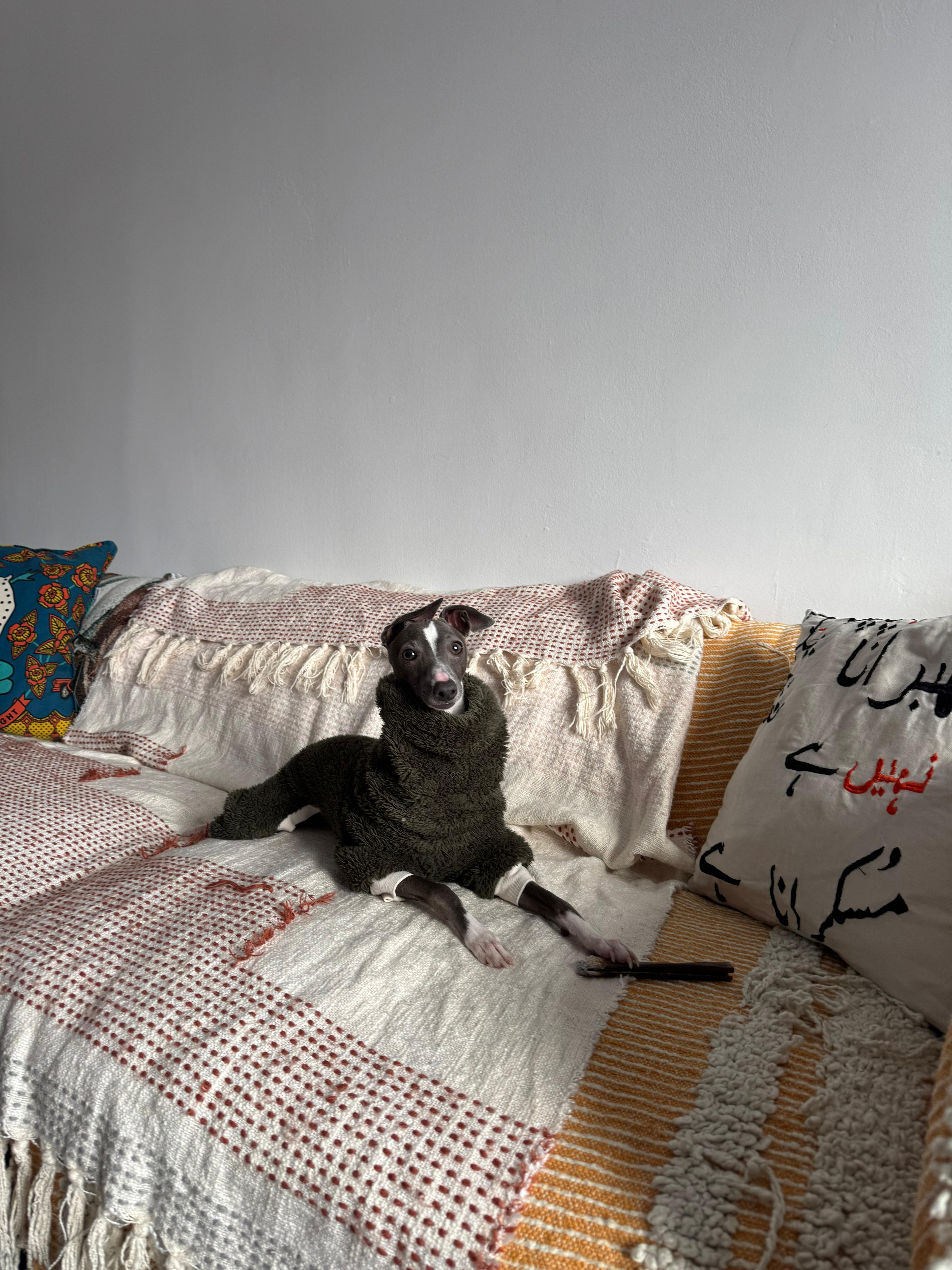 Neelu wearing a dark green sweater sitting on a couch surrounded by colorful pillows